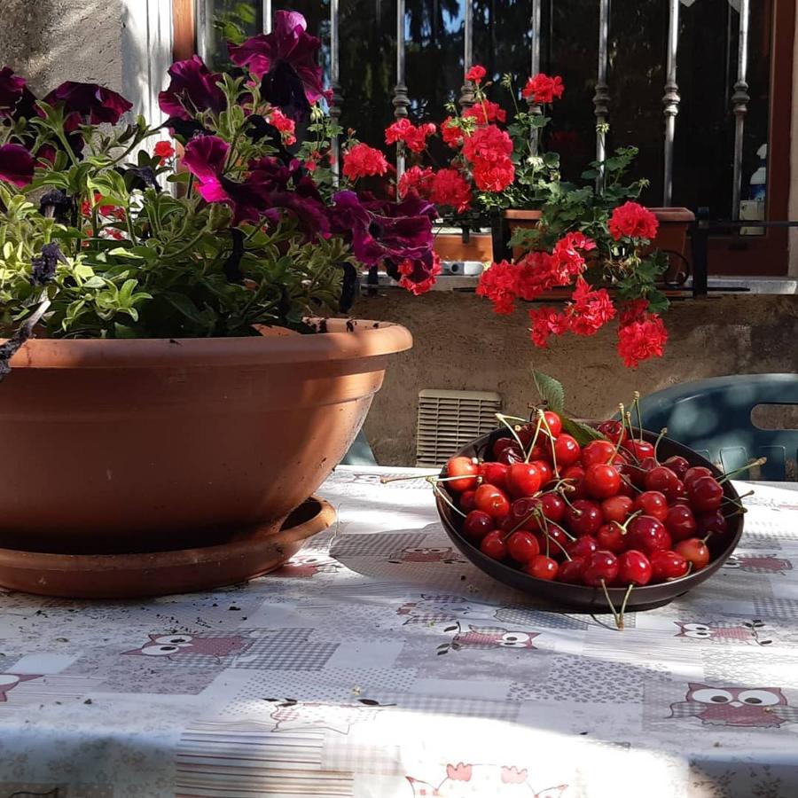 B&B Mamma Ari Fermo Extérieur photo